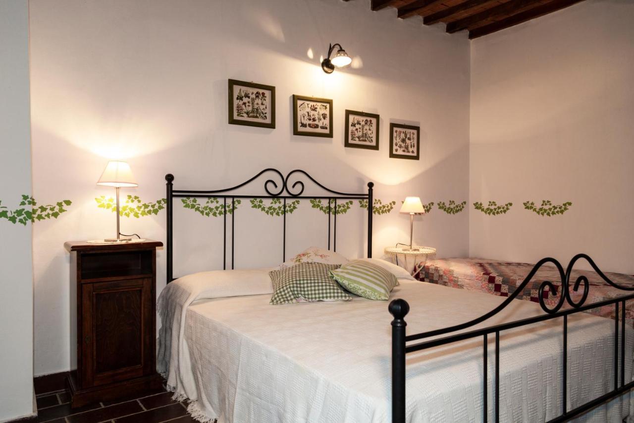 Agriturismo Il Belvedere Country Houses Massa Marittima Buitenkant foto