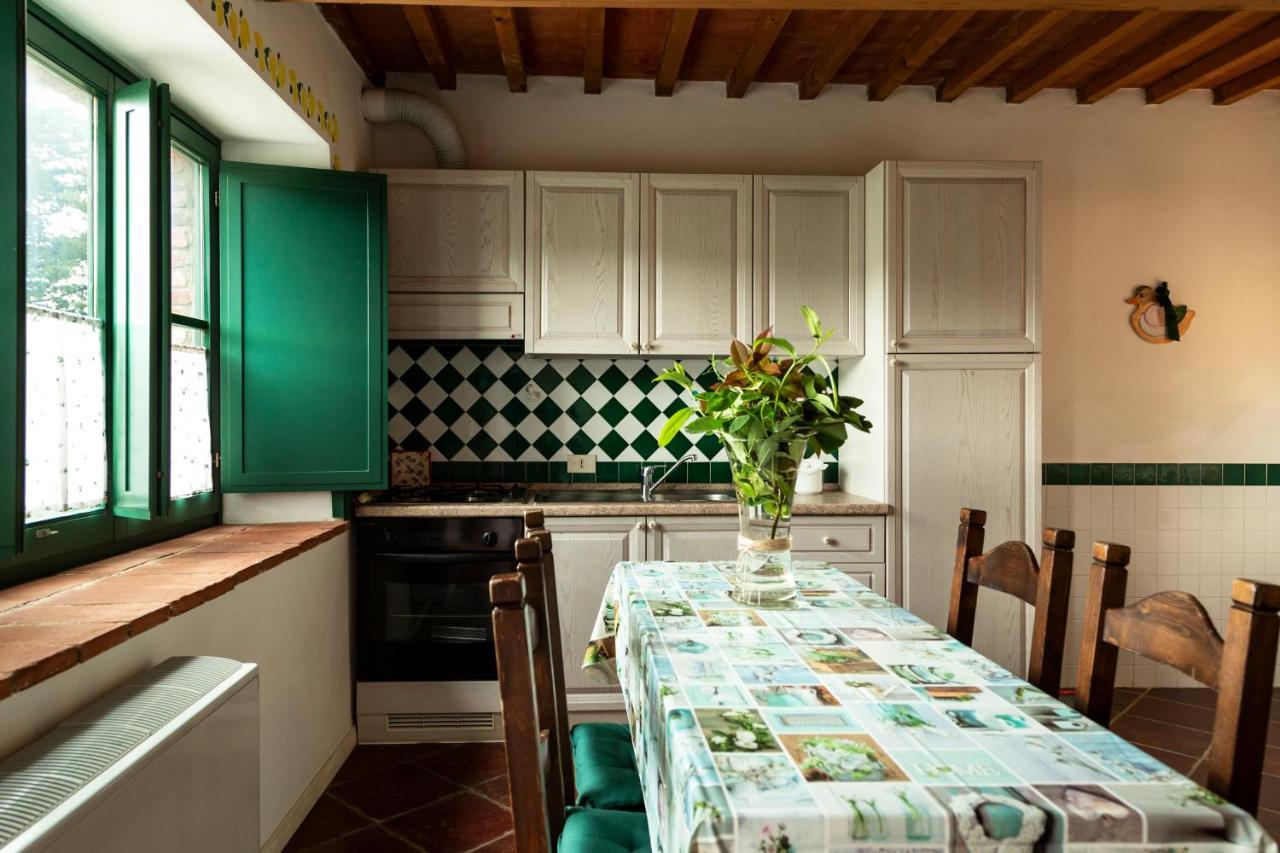 Agriturismo Il Belvedere Country Houses Massa Marittima Buitenkant foto